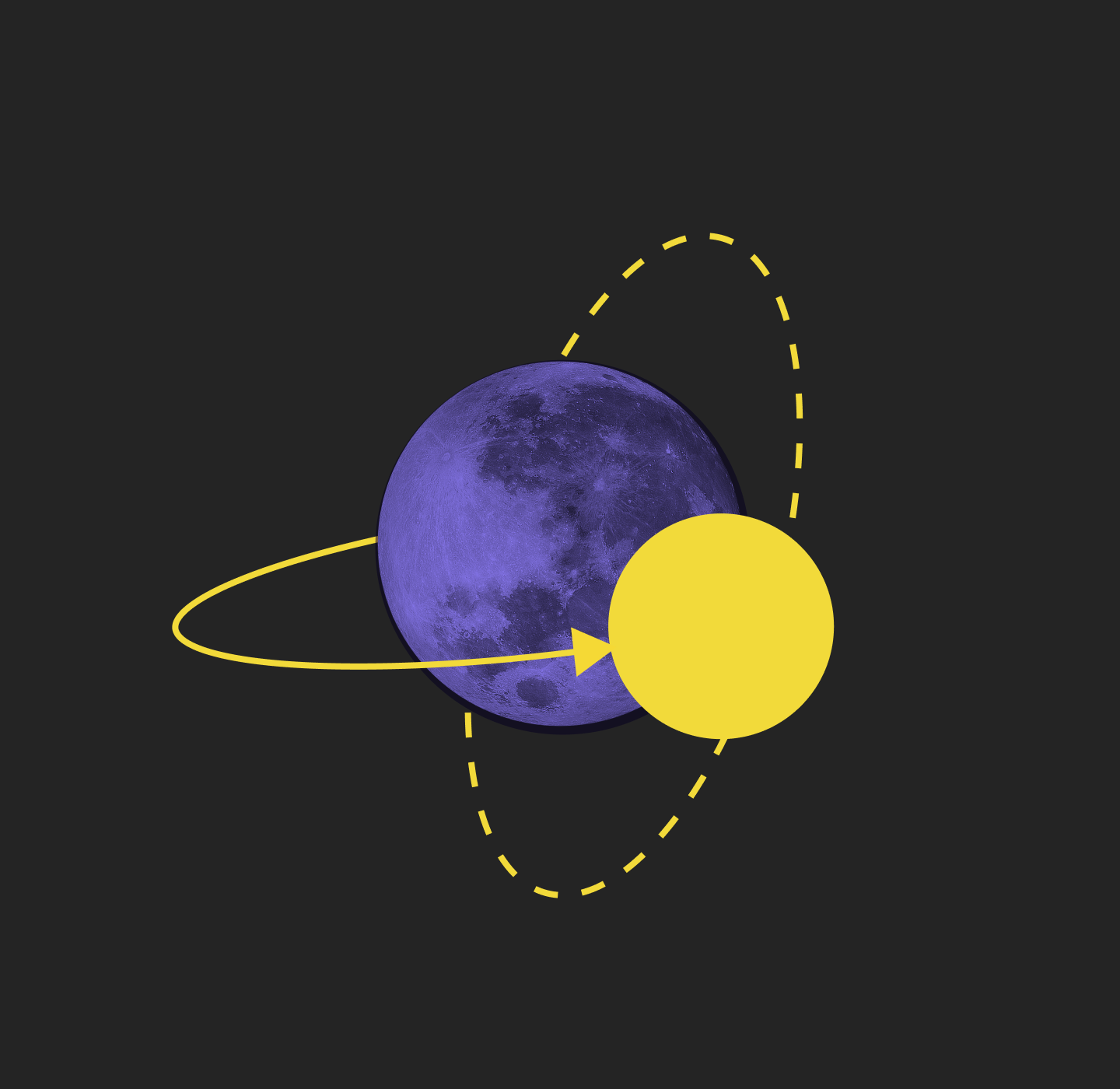 Python Software Development Services